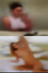 Housewife messengers fuck