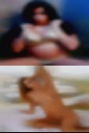 Naked girls looking
