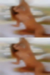 People swingers fucking