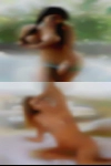 Where can pussy Hobbsville