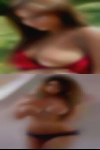Sarasota women looking sex